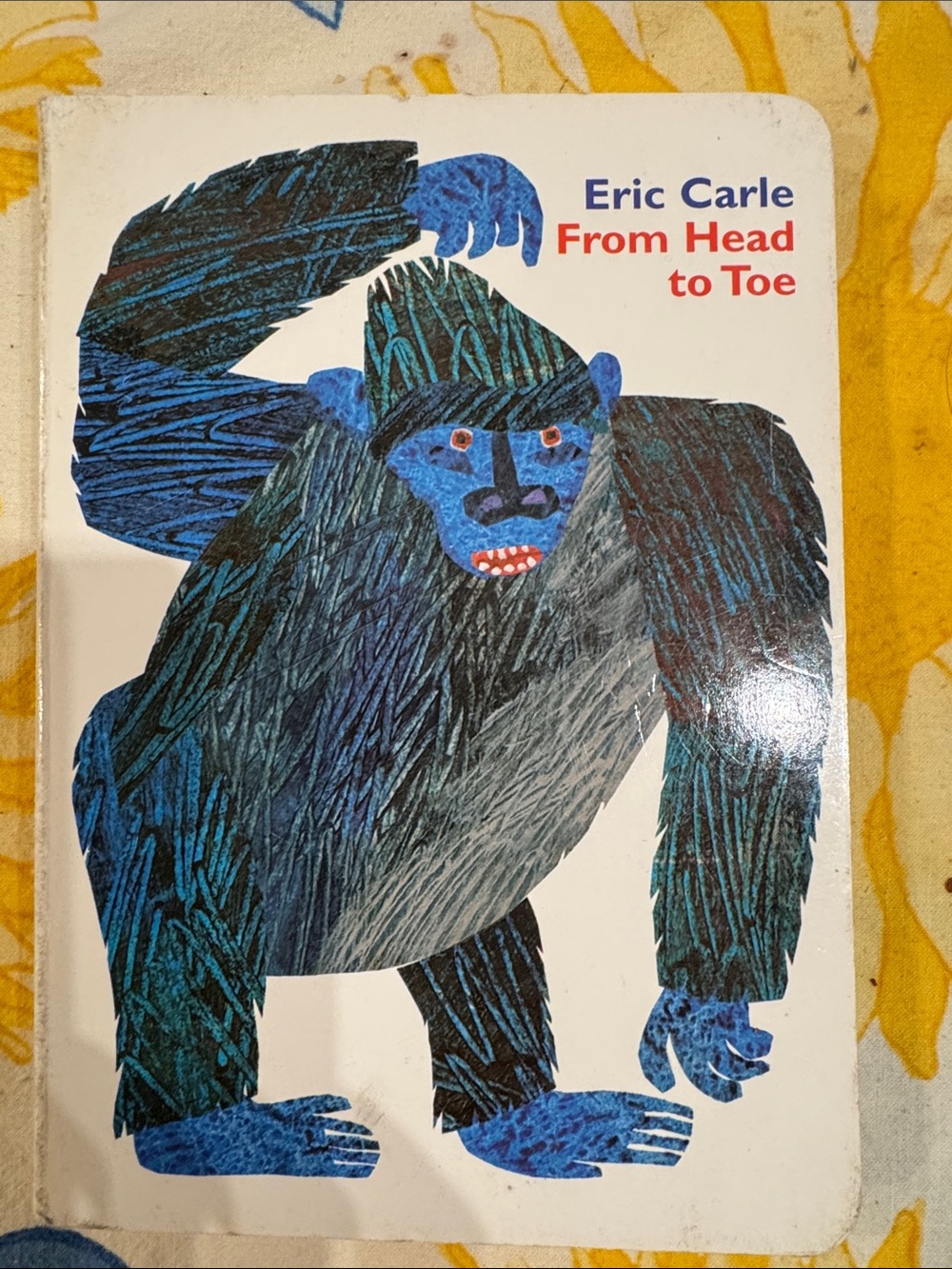 Blue Gorilla child book - From Head to Toe